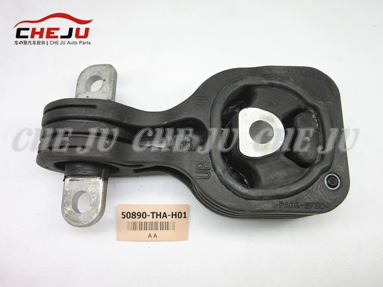 50.890-THA-H01