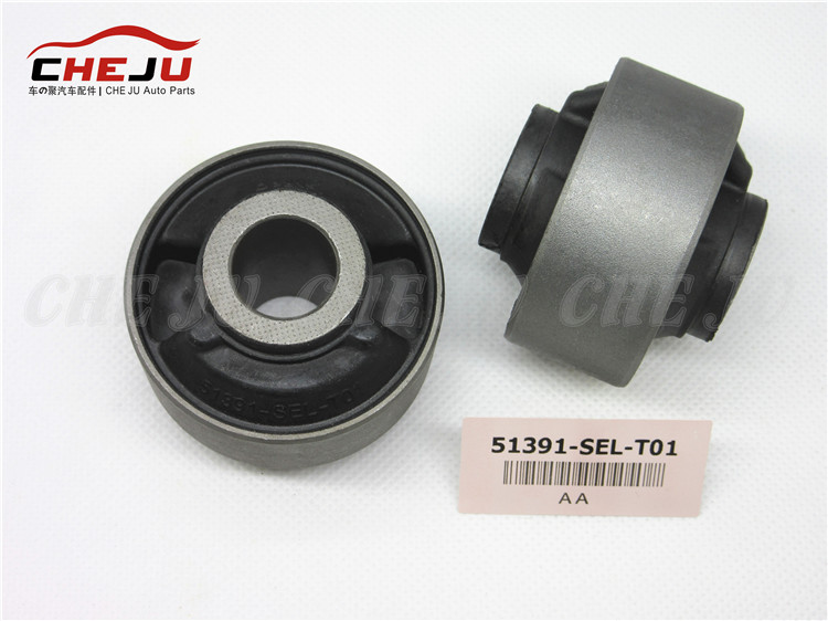 51.391-SEL-T01